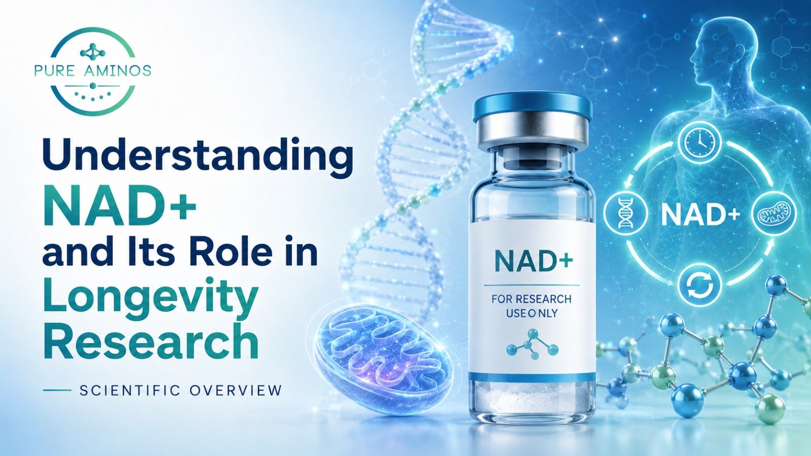 Understanding NAD+ And Its Role in Longevity Research